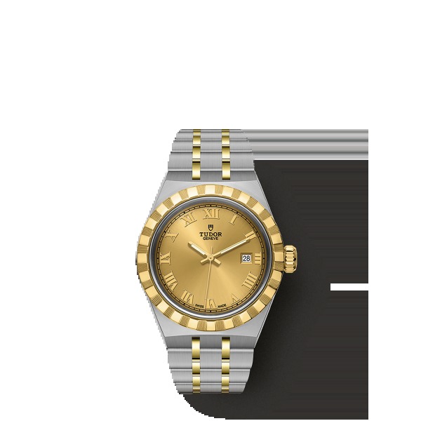 Montre Femme Tudor Royal 28mm Boîtier Acier Lunette en or jaune