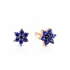 Boucle d'Oreilles Ginette NY SAPPHIRE STAR STUDS