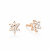 Boucle d'Oreilles Ginette NY DIAMOND STAR STUDS