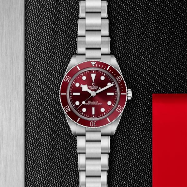 MONTRE TUDOR BLACK BAY 58 39 MM CADRAN BORDEAUX