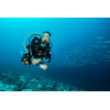 Montre Certina DS Action Diver 38mm Powermatic 80 Sea Turtle Conservancy Special Edition Automatique Cadran Bleu