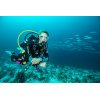 Montre Certina DS Action Diver 38mm Powermatic 80 Sea Turtle Conservancy Special Edition Automatique Cadran Bleu