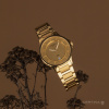 Montre Certina DS-6 Lady Quartz Cadran