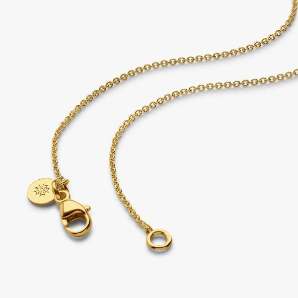 Chaine Arthus Bertrand Forçat Rond 0,50 50cm Vermeil