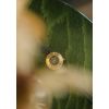 Montre March LA.B Lady Volante Electrique Malachite Alligator Vert