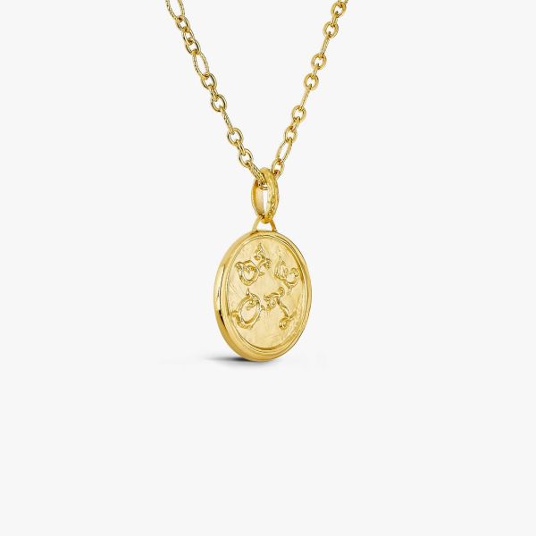 Médaille Arthus Bertrand Joie 32mm Vermeil