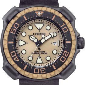 Montre Citizen Marine Promaster Eco-drive Cadran Bleu