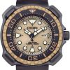 Montre Citizen Marine Promaster Eco-drive Cadran Bleu