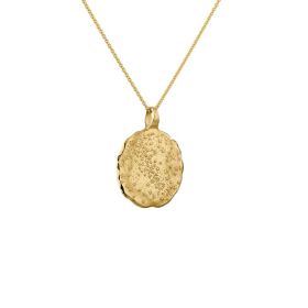 Médaille Arthus Bertand 36mm Voie Lactée Vermeil
