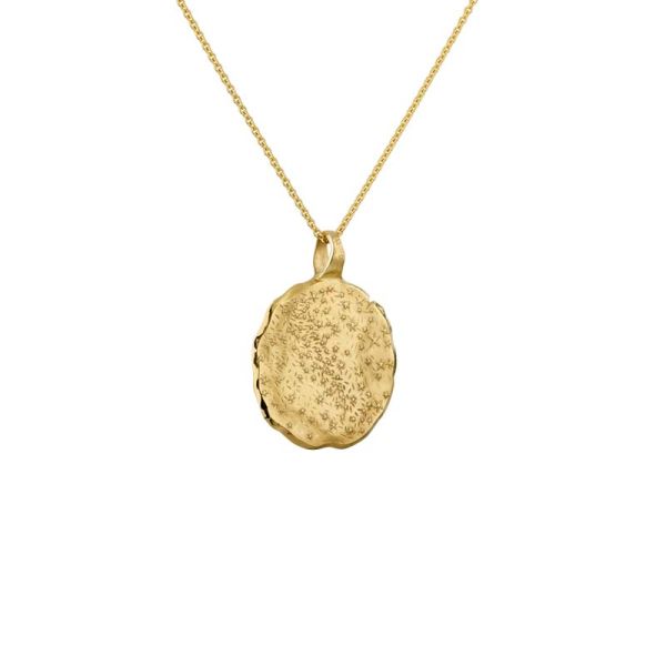 Médaille Arthus Bertand 36mm Voie Lactée Vermeil