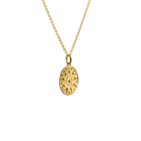 Médaille Arthus Bertand 23mm Rosae Or jaune Satiné