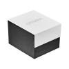 Montre Citizen Zenshin Super Titanium Mechanical Cadran Argent Bracelet Titane