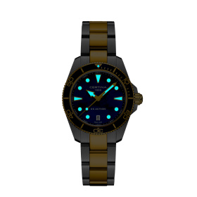 Montre Certina DS Action 34.5mm Cadran Nacre Bracelet PVD,Acier inoxydable