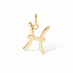 Pendentif Dinh Van Poisson grand modèle Or Jaune