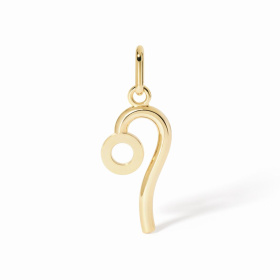 Pendentif Dinh Van Lion grand modèle Or Jaune