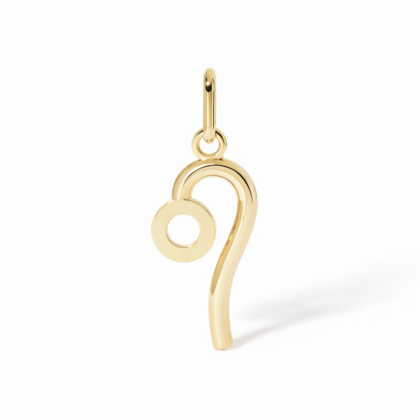 Pendentif Dinh Van Lion grand modèle Or Jaune