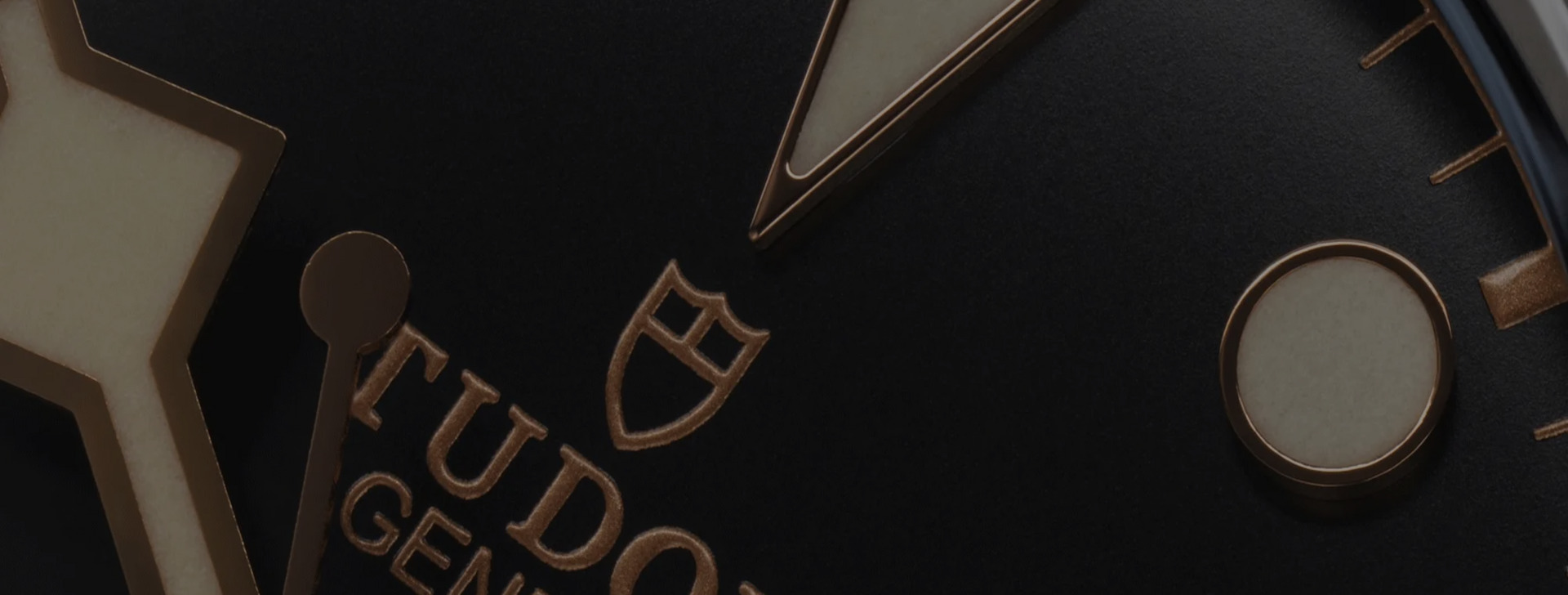 Montres Tudor Occasion