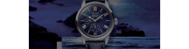 Montres Homme Seiko