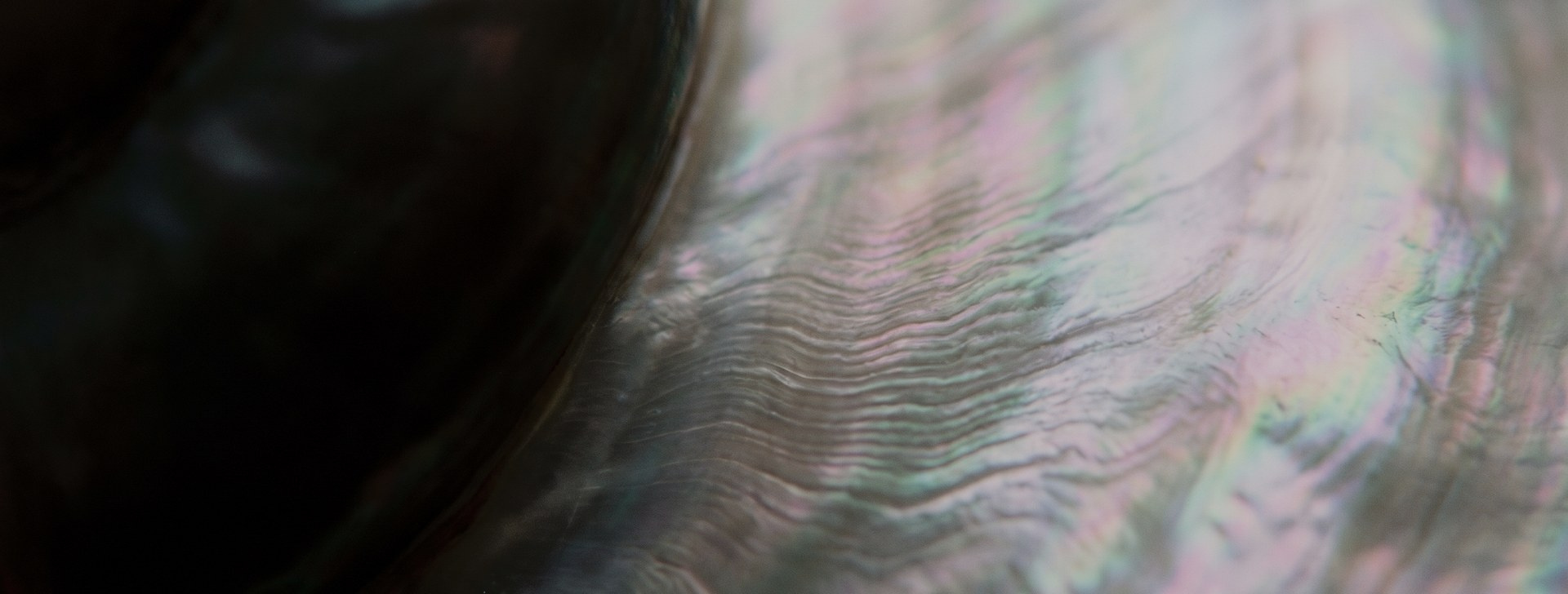 Nacre