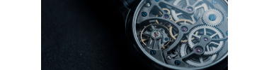 Montres Squelette Homme