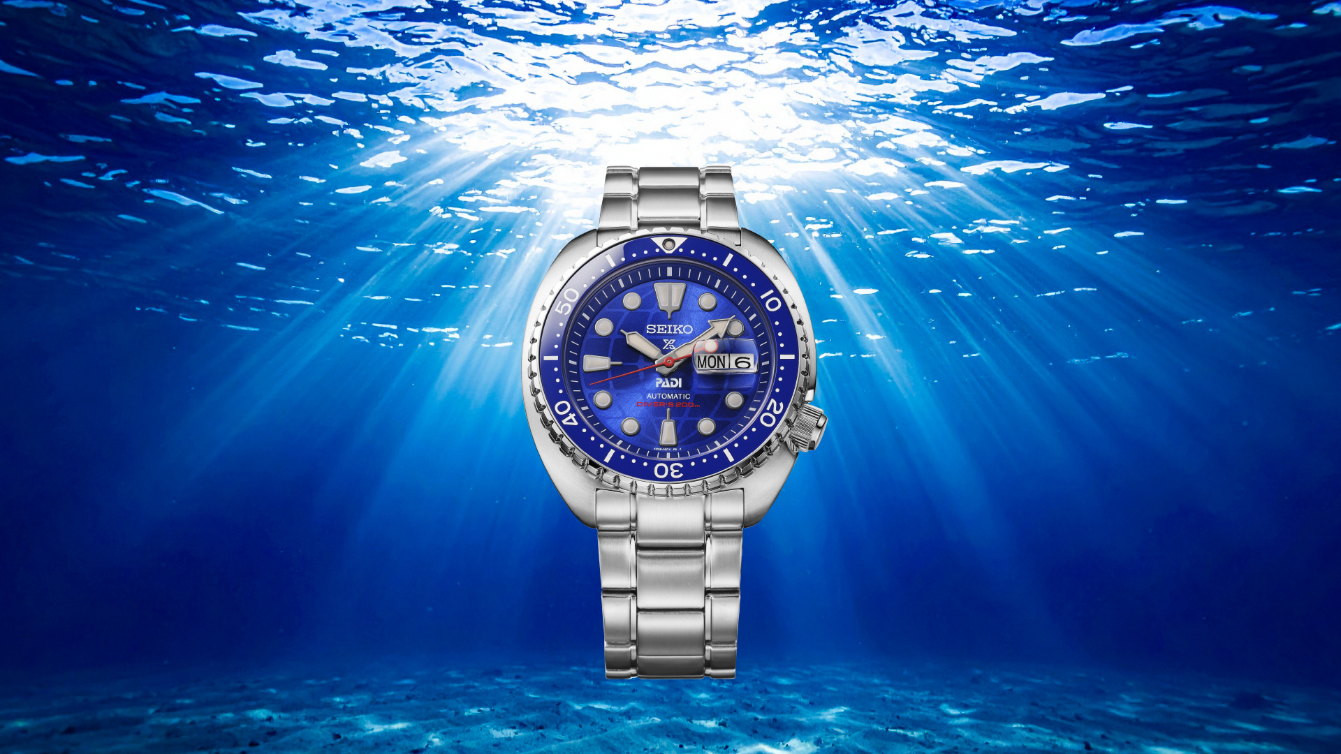 Seiko Prospex King Turtle PADI, la plongeuse Save the Ocean