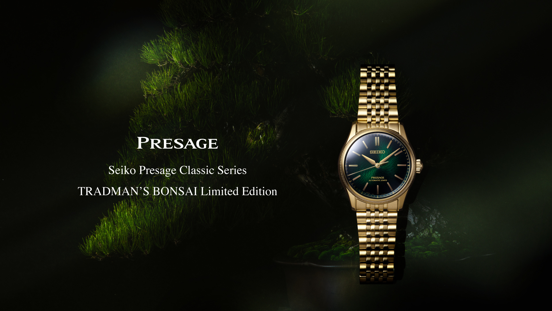 Seiko Presage Tradman's Bonsai, un pin noir sous la lune au poignet Daniel Gérard